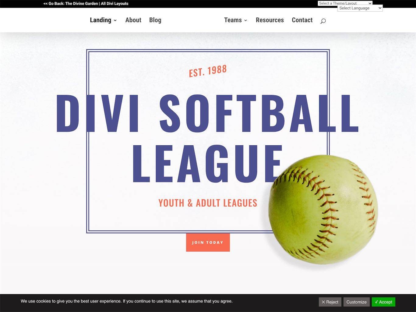 233 – Softball League