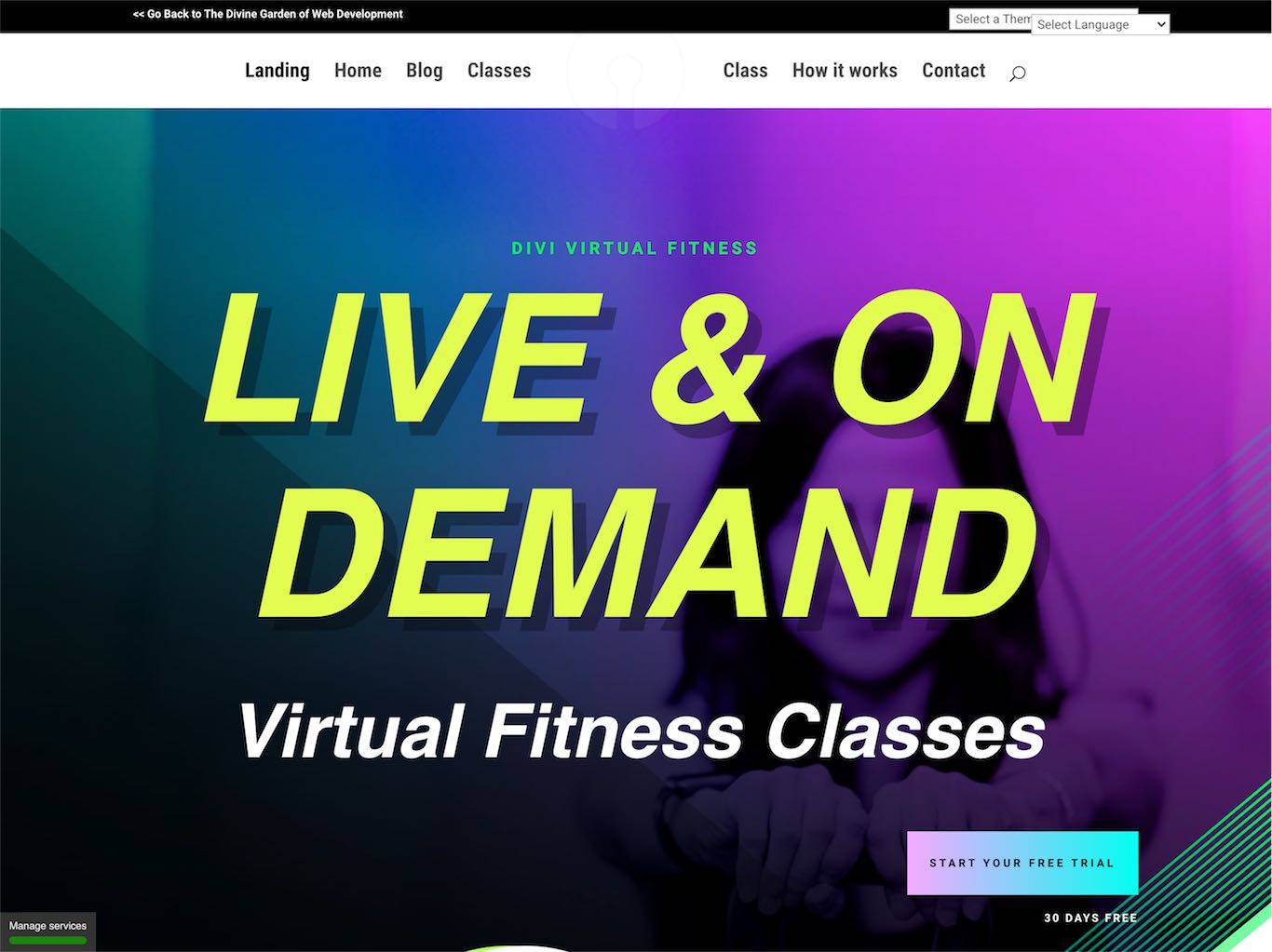 210 – Virtual Fitness
